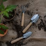 Peat free soil
