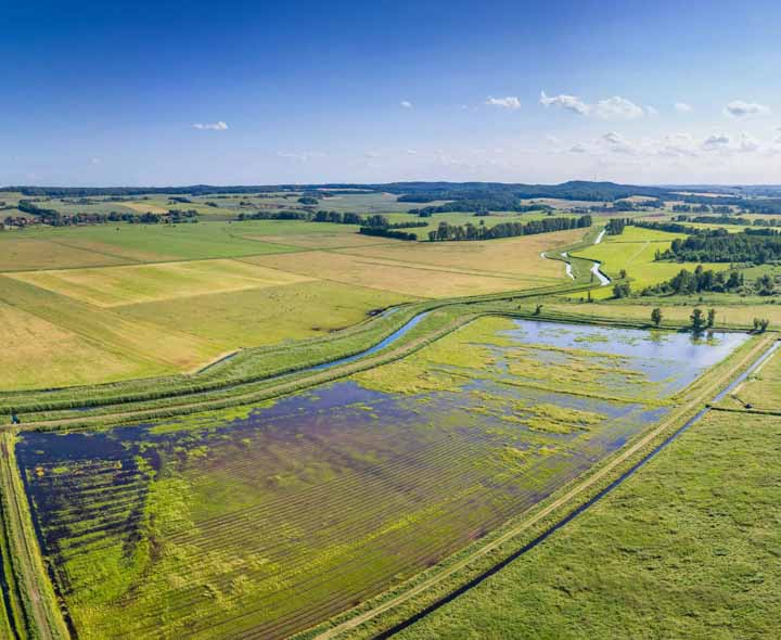 Zukunftmoor-wetlands-agriculture