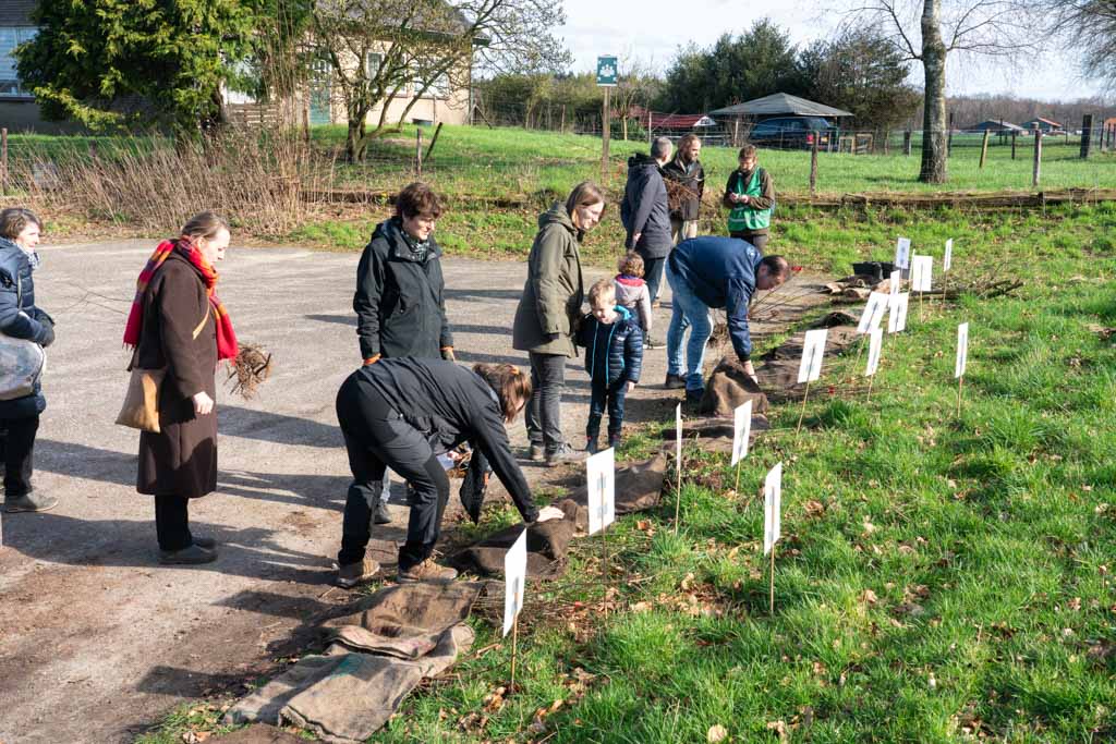 uitdeelactie van gratis zaailingen door Meer Bomen Nu